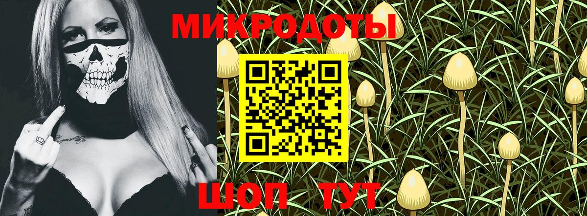 Псилоцибиновые грибы мицелий Славянск-на-Кубани